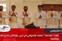 بقرة "مقدسة" بمعبد هندوسي في دبي.. وإماراتي ينحني لها ويقبلها