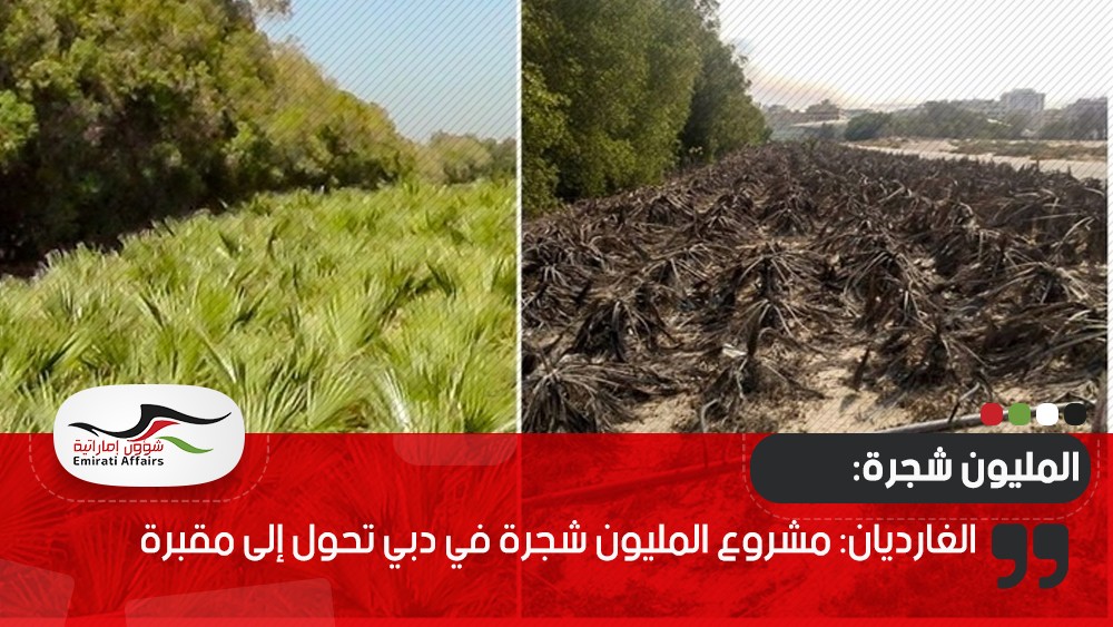 الغارديان: مشروع المليون شجرة في دبي تحول إلى مقبرة