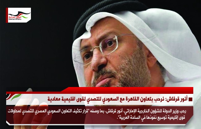 أنور قرقاش: نرحب بتعاون القاهرة مع السعودي للتصدي لقوى اقليمية معادية
