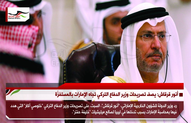 أنور قرقاش: يصف تصريحات وزير الدفاع التركي تجاه الإمارات بالمستفزّة