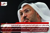 أنور قرقاش: نرحب بتعاون القاهرة مع السعودي للتصدي لقوى اقليمية معادية