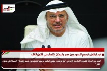 أنور قرقاش: ترسيم الحدود بين مصر واليونان انتصار على قانون الغاب