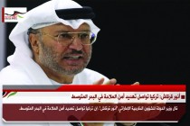 أنور قرقاش: تركيا تواصل تهديد أمن الملاحة في البحر المتوسط
