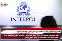 التليغراف: مرشح الإمارات لرئاسة الإنتربول متهم بتعذيب مواطنين بريطانيين